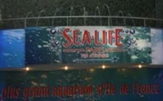 Sealife