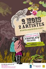 Chocolat - Pistache