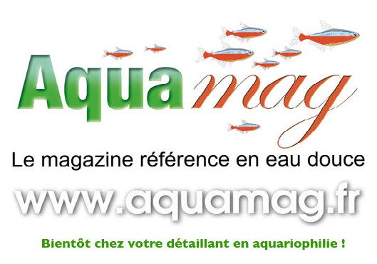 aquamag