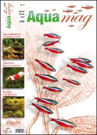Aquamag, 1