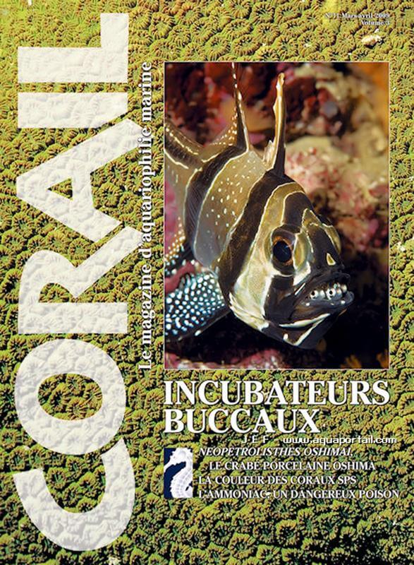 Corail magazine 11, couverture