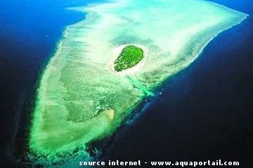 vue a�rienne grande barri�re australie
