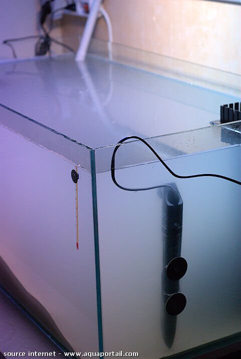 aquarium 200 litres