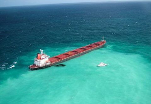 sheng neng, dans la Grande Barri&egrave;re de Corail