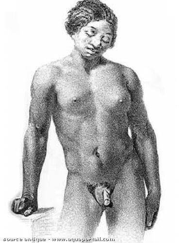 dessin d'un hermaphrodite