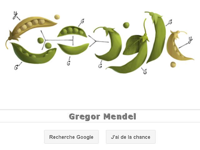 Google doodle pour Gregor Mendel