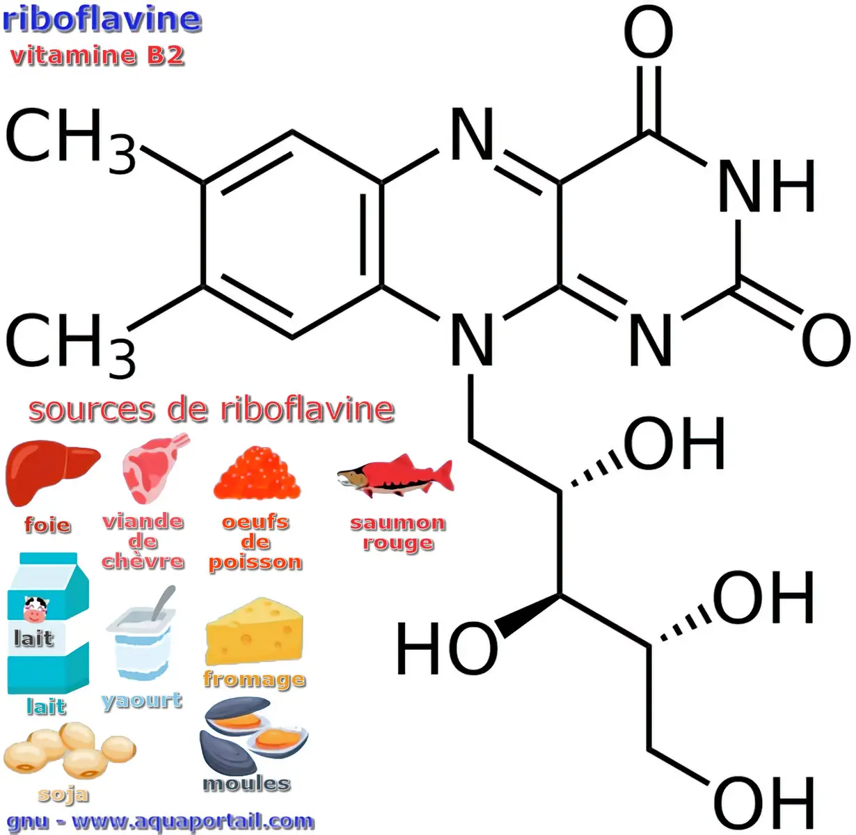 riboflavine