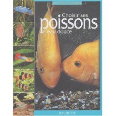 Décor aquarium