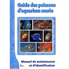 Décor aquarium