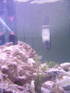 11_46e26a97740cd.jpg 240X320 px
