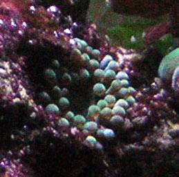 25_45f9602d1cc9e.jpg 259X256 px