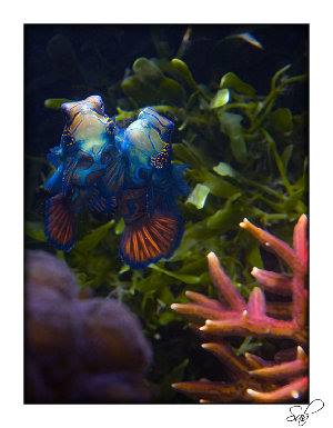 663_479fa9fd51494.jpg 623X800 px