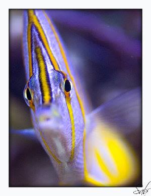 663_4815b6a6c14e2.jpg 618X800 px