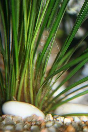 699_4790b0f5e969c.jpg 288X432 px