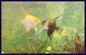 1001_487f03b85ef67.jpg 902X578 px