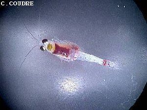 11_457bd06bcb5cf.jpg 320X240 px