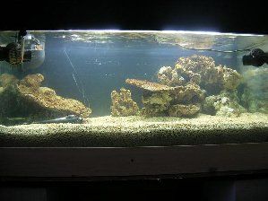 13_47cd9cd645586.jpg 615X461 px