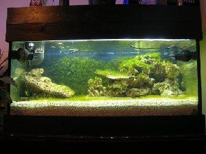 13_47dfc2fd53d10.jpg 512X384 px