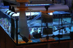 175_4839487c366ca.jpg 500X332 px