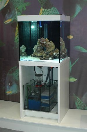 175_4839493ef2672.jpg 332X500 px