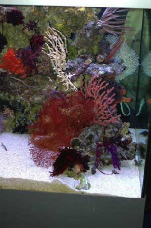 175_4839643a33a33.jpg 332X500 px
