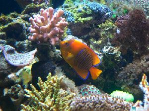 175_483964474d196.jpg 500X375 px