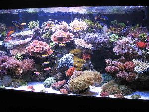 175_4bf6ff596f696.jpg 900X675 px