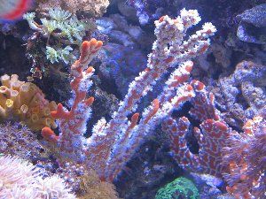 175_4bf6ff9995514.jpg 900X675 px