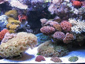 175_4bf6ffb75b6c3.jpg 900X675 px