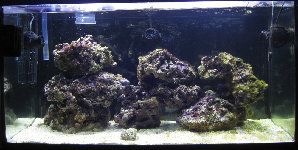 2103_4ab685664bb16.jpg 1000X503 px