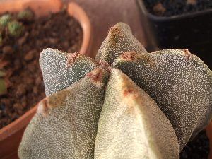 211_461cb6e613987.jpg 800X600 px