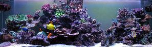 25_45e5c102c7473.jpg 750X232 px