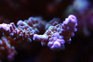 25_46b8cf4379c13.jpg 700X467 px