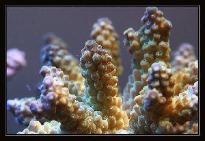 25_480113262abbf.jpg 640X440 px