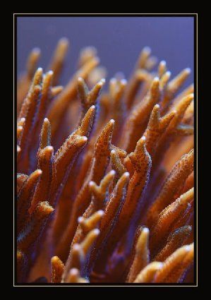 25_480113ba259a4.jpg 451X640 px