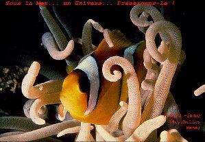 2_4b5de3fba0efc.jpg 1063X735 px