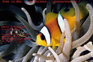 2_4b5eb2b171771.jpg 1181X790 px