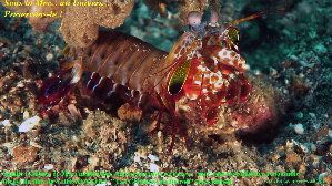 2_4b6aa5800cb7c.jpg 1181X664 px