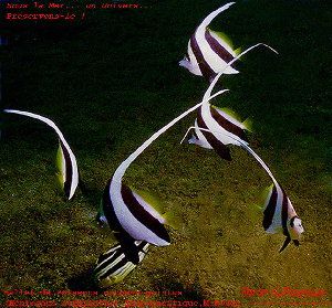 2_4b6d3b969682f.jpg 945X880 px