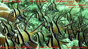 2_4b7d0537f260a.jpg 1181X664 px