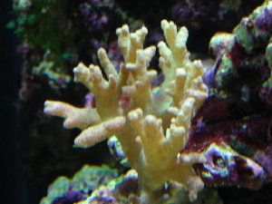 394_47ccfe05443e5.jpg 640X480 px