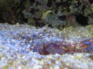396_47433c3d514b0.jpg 1024X768 px