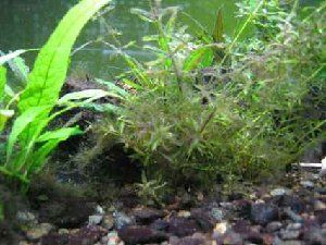 412_47d640197efe8.jpg 426X320 px