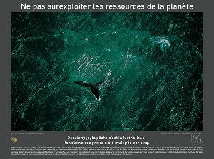 452_470e67460bf25.jpg 640X476 px