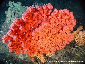 452_473470f741199.jpg 450X337 px