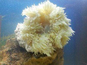 4576_4f95bb789ee0c.jpg 448X336 px