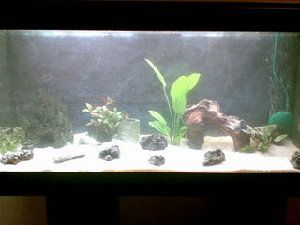 588_4741f6be87def.jpg 320X240 px
