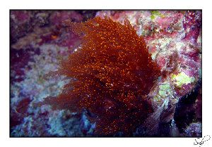 663_484a6fd6ed646.jpg 800X558 px
