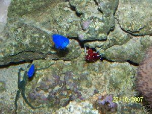 708_4793b01ef0bda.jpg 500X375 px
