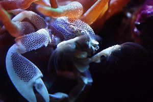 91_45f8fbca09756.jpg 900X600 px